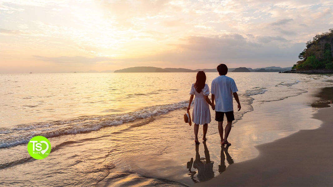 How Does Marriott Timeshare Work? [2026 Guide] | Timeshares Only