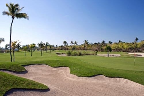 Imperial Jungle Aqua Playa del Carmen