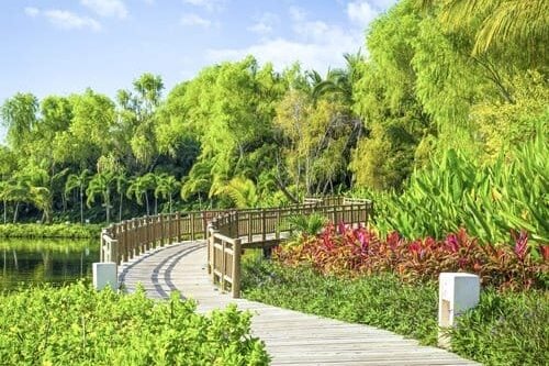 Mexico Spring Break Destinations: Imperial Jungle Aqua Playa del Carmen