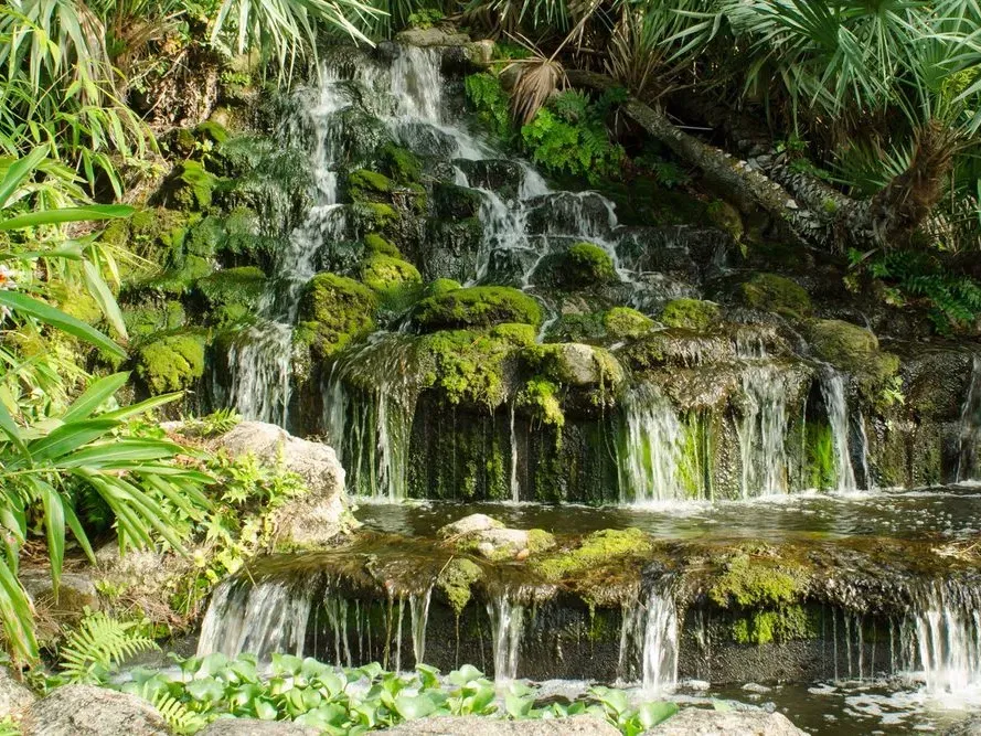 Things to Do in Ormond Beach Florida: Ormond Gardens